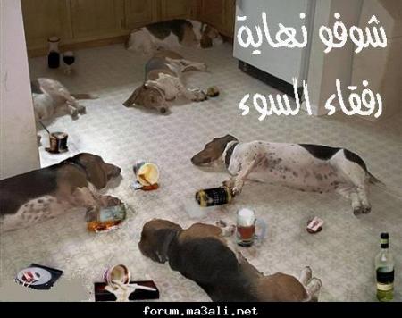 wa kolchi skran wa kabat